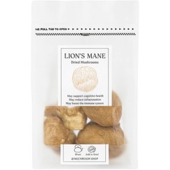 تصویر قارچ یال شیر 