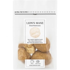 تصویر قارچ یال شیر 