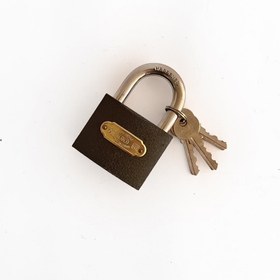 تصویر قفل آویز طوسی سایز 63 TREE-CIRCLE 