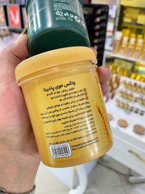 تصویر واکس مو پادینا مدل Wheat Germ Oil حجم 250 میلی لیتر Padina hair styling wax with Wheat Germ Oil 250ml