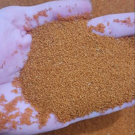 تصویر خاکشیر کوهی شیرازی 250 گرمی تازه ارگانیک 