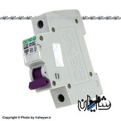 تصویر فیوز مینیاتوری تک پل 32 آمپر دنا الکتریک Dena Electric 32A Fuse