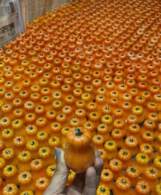 تصویر شمع یلدایی کدو وکیومی 