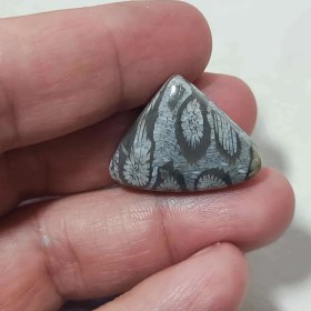 تصویر نگین مرجان فسیلی اصل کد10 