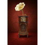 تصویر گرامافون ایستاده والتر مدل 2511 فول، پخش موزیک از طریق اتصال بلوتوث، صفحه LED، پخش صفحه با سه سرعت و دور ضبط شده، شیپور فلزی 