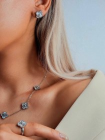 تصویر ست کامل ونکلیف سیلور 