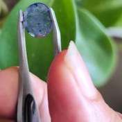 تصویر نگین یاقوت کبود آفریقایی 3.05قیراط تراش جواهری سنگ اصل طبیعی 