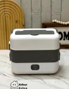 تصویر ظرف غذا برقی زیوین مدل DFH_C02 Zivin electric food container model DFH C02