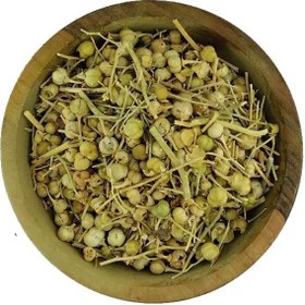 تصویر اسپند نخودی 