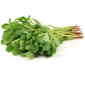 تصویر بذر خرفه بسته ۳۰ گرمی 