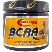 تصویر بی سی ای ای پودری شرکت ناترورسام Nutriversum bcaa 2:1:1