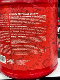 تصویر مس گینر بیگ رامی 2.721 کیلوگرم رد رکس Big Ramy Labs Red Rex Beef Mass 2.721 hg