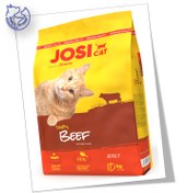 تصویر جوسی گربه 10 کیلویی 