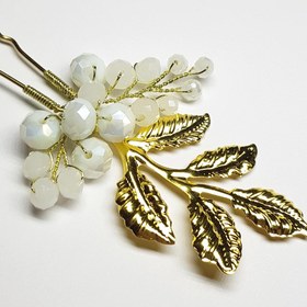 تصویر سنجاق شینیون مدل BBRGG 