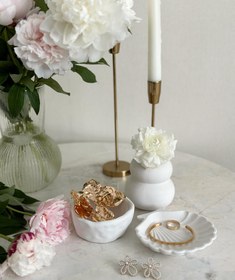 تصویر استند صدف کوچک 