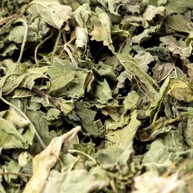 تصویر بادرنجبویه برگ(ملیس) 