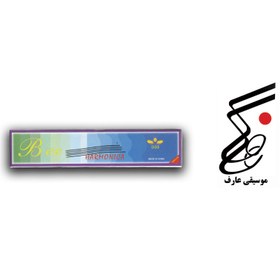 تصویر سازدهنی 24 سوراخ 