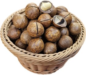 تصویر ماکادمیا 