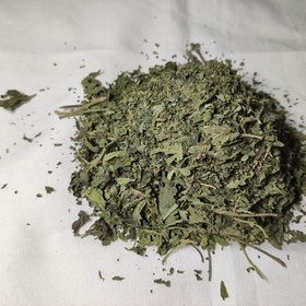 تصویر برگ گزنه 