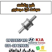 تصویر شیر برگشت سوخت کیا موهاوی 