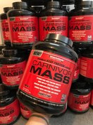 تصویر گینر کارنیور ماسل مدز ۲.۷ کیلوگرم 