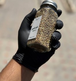 تصویر تخم گشنیز 