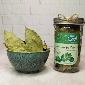 تصویر برگ بو گل‌جیل 