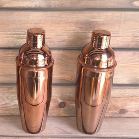 تصویر استرینر شیکر مدل 750 میل - نقره ای 