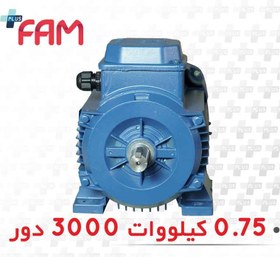 تصویر الکتروموتور سه فاز 0.75 کیلووات 3000 دور فریم آلومینیومی موتوژن three-phase electric motor 0.75KW 3000 RPM with Aluminum frame Motogen