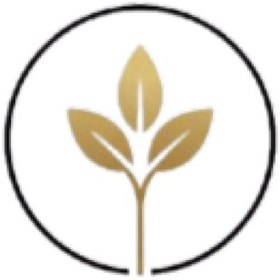 تصویر شفلرا سبز 