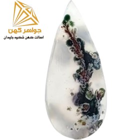 تصویر نگین شجر بهاری (کد۷۲) 