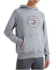 تصویر سویشرت و هودی مردانه تامی هیلفیگر tommy hilfiger | MW0MW27842-ZN2 4855595