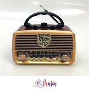 تصویر رادیو اسپیکر گولون golon Rx1110 Radio spiker golon Rx 1110