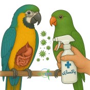 تصویر پک پاکسازی طوطی و پرندگان 