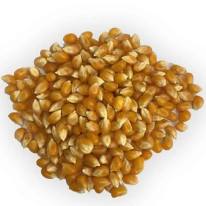 تصویر فروشگاه عطاری و گیاهان دارویی سومایا