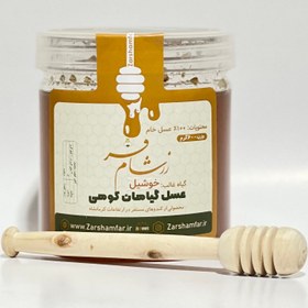 تصویر عسل گیاهان کوهی کرمانشاه ۶۰۰ گرمی Honey of mountain plants