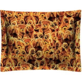 تصویر بالش مدل P2-20153 چند رنگ 