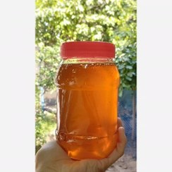 تصویر عسل طبیعی کوهستان 