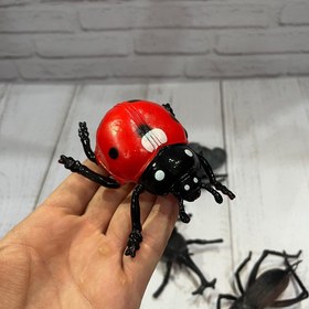 تصویر حشرات کیسه ای ۶ تکه 