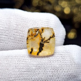 تصویر نگین سنگ طبیعی کوارتز شجر معدنی نمونه خاص کد S3721 