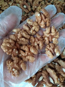 تصویر مغز گردو لوکس (ایرانی) دستچین شده در کارگاه تهران ناب - 500 Iranian walnut kernel