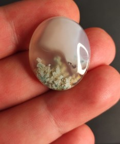 تصویر نگین عقیق شجر بهاری زمینه شیری 