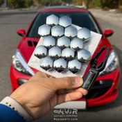 تصویر گل پیچ کروم رینگ فابریک پژو 206 و 207 – (ست 16 عددی) 