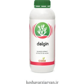 تصویر جلبک دریایی دالجین 