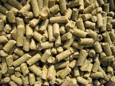 تصویر استارتر گوساله 