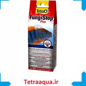 تصویر دارو ضد قارچ فانگی استاپ تترا 20 میل Tetra Fungi Stop 