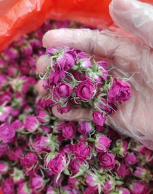 تصویر غنچه خشک گل محمدی اعلاء 