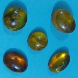 تصویر 5 نگین کهربا 