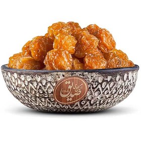 تصویر آلوچه طلایی 