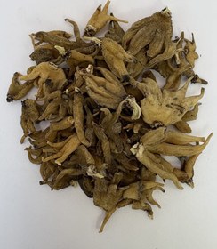 تصویر ثعلب پنجه 